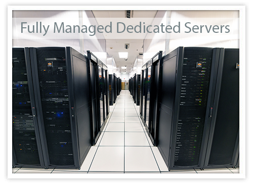 managed dedicated server options