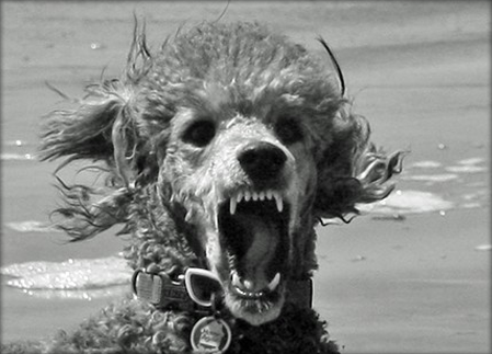 Be Aware of POODLE SSL 3.0 Vulnerability