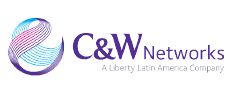 cwnetworks logo