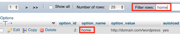 Find the home row in the Wp_options Table