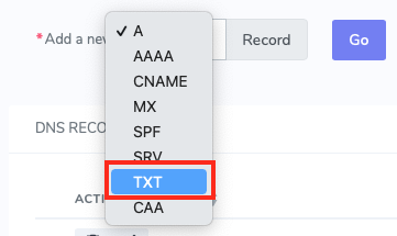 Under the Add a New Drop-Down Menu, Select TXT and Click Go